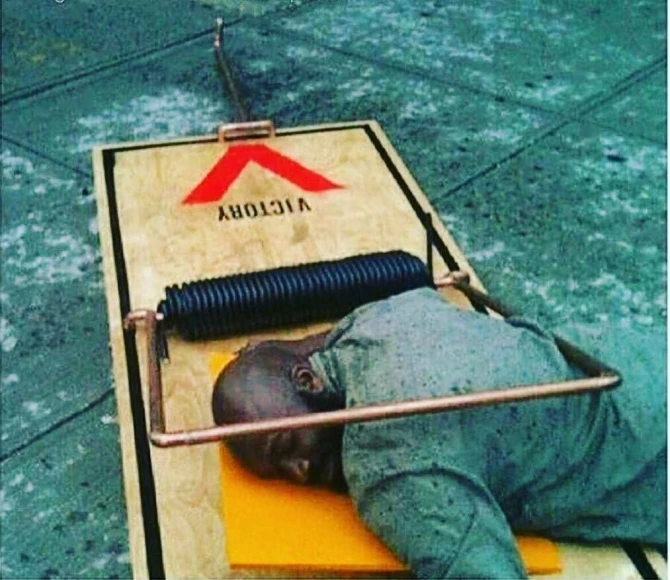 Сеть покоряет новый вид флешмоба