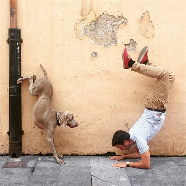Самые популярные снимки Instagram за январь (фото)