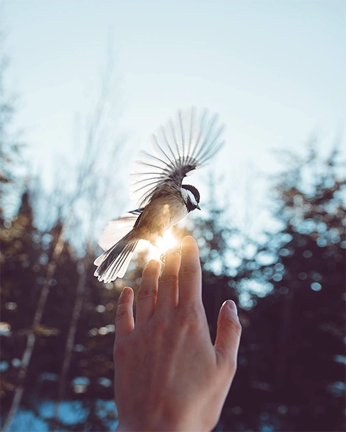 Самые популярные снимки Instagram за январь (фото)
