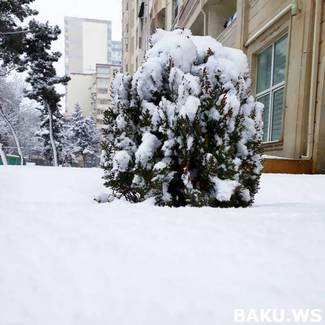 Qarlı Bakıdan möhtəşəm mənzərə (VİDEO, FOTO)