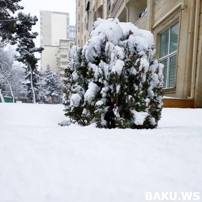 Баку оделся в белый наряд (фото, видео)