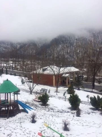 Qəbələyə qar yağdı - FOTO