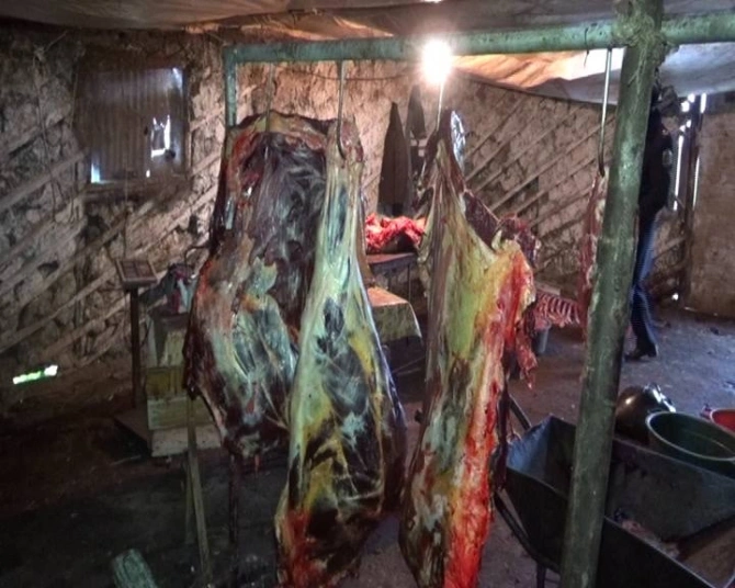 At və eşşək kəsərək satan şəxs yenidən tutuldu