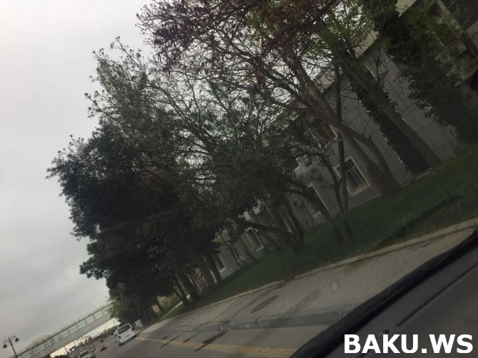 Bakıda ana və bala ölümlə üz-üzə (FOTO)