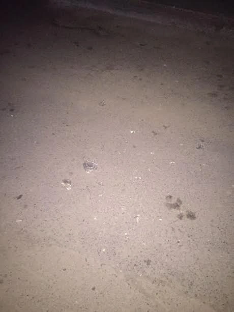“Avtoş” məmur oğlundan daha bir ağılasığmaz əməl - FOTOLAR