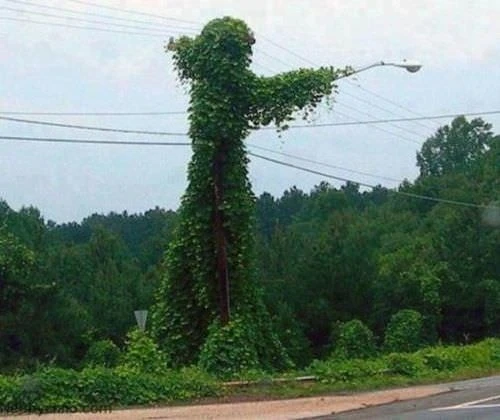 Dünyanın ən qəribə şəkilləri (FOTO)