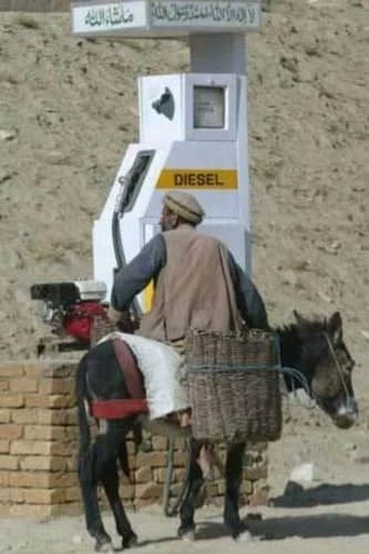 Dünyanın ən qəribə şəkilləri (FOTO)