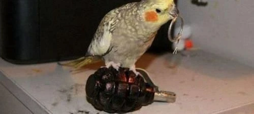 Dünyanın ən qəribə şəkilləri (FOTO)
