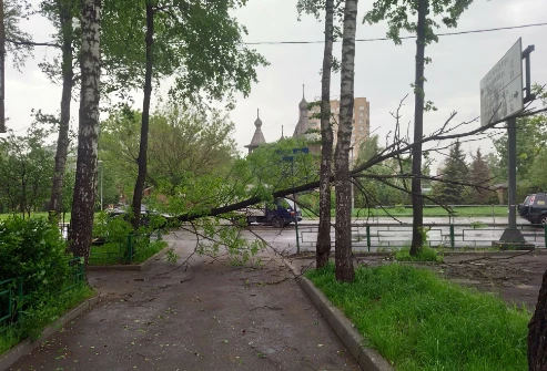 Беспрецедентный удар стихии в Москве: 13 погибших (видео)