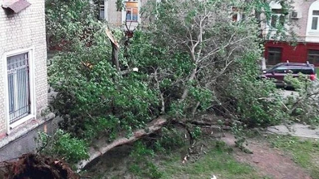 Беспрецедентный удар стихии в Москве: 13 погибших (видео)