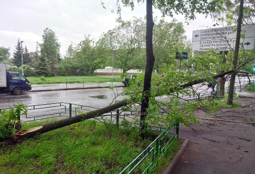Беспрецедентный удар стихии в Москве: 13 погибших (видео)