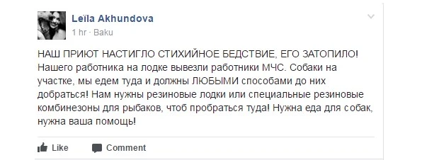 Приют БАРС затоплен, сотрудники МЧС Азербайджана отказались спасать собак