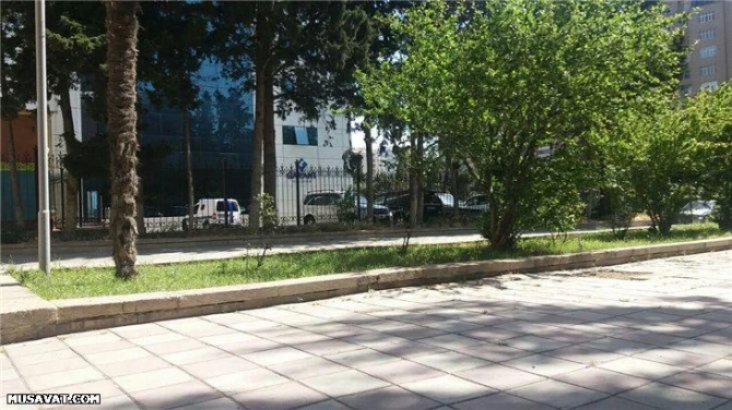 Anar Məmmədovun ofisindən reportaj – lələ köçüb, yurdu qalıb - FOTOLAR