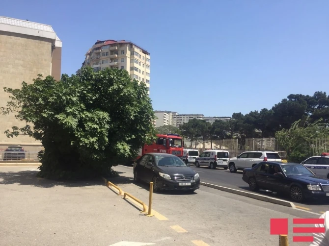 В Баку в здании университета начался пожар - Обновлено (фото)
