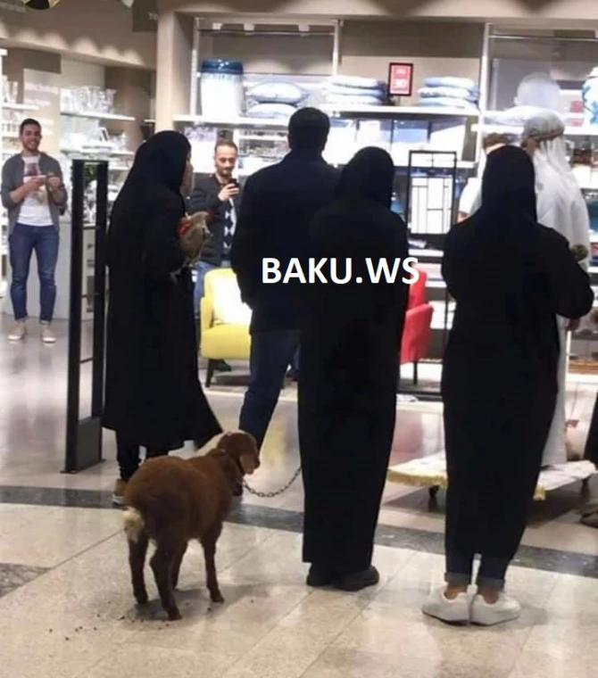 Bakıda ərəblər böyük ticarət mərkəzinə quzu ilə girdi (FOTO)
