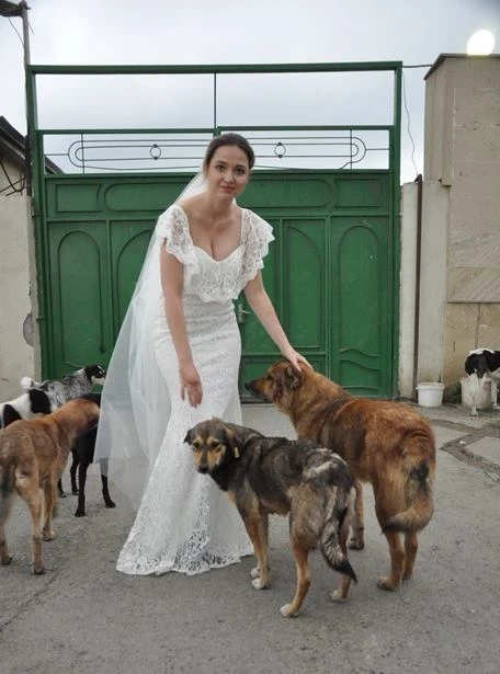 Toyunda itlə fotosessiya edən azərbaycanlı gəlin: “Bəyi ora çağıra bilmədim, çünki...”