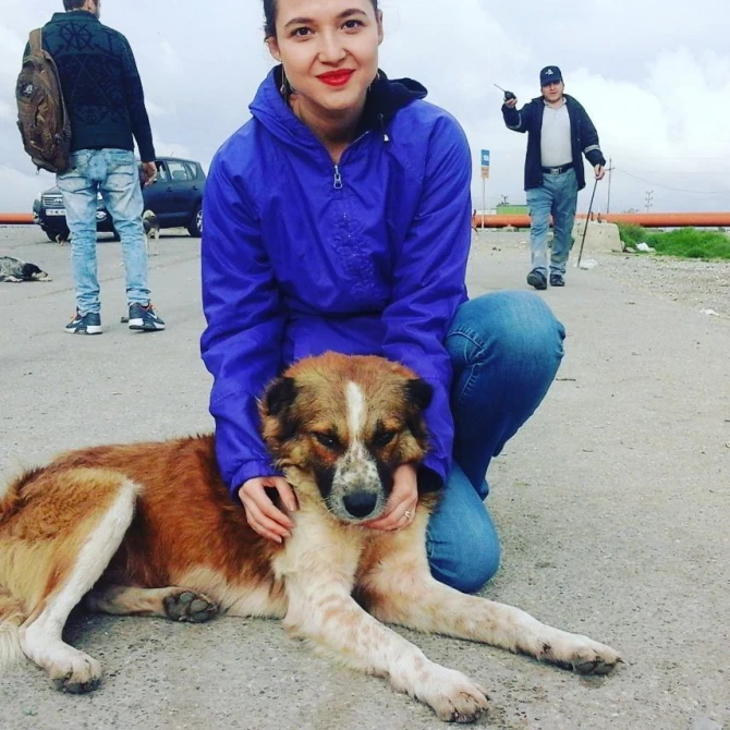 Toyunda itlə fotosessiya edən azərbaycanlı gəlin: “Bəyi ora çağıra bilmədim, çünki...”