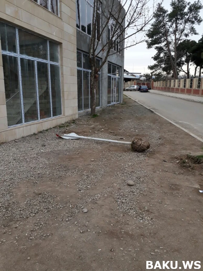 Gəncədə bir gecədə yol nişanları söküldü (FOTO)