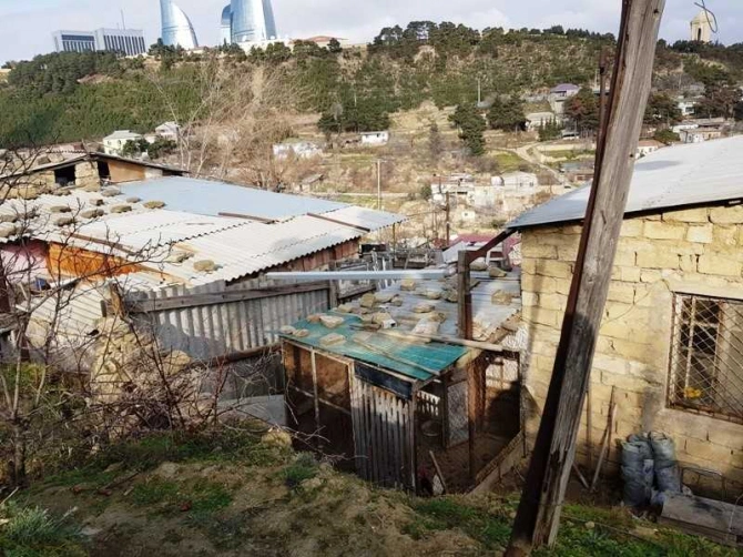 Yaponiyadan Bayıla mütəxəssis çağırıldı  (FOTO)
