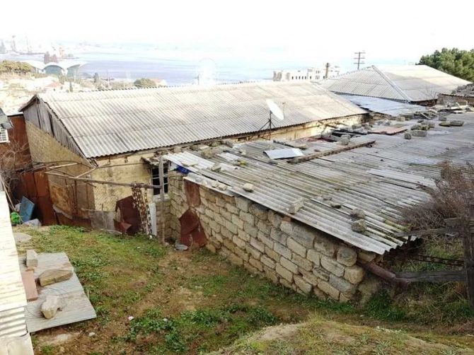Yaponiyadan Bayıla mütəxəssis çağırıldı  (FOTO)