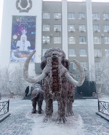 -40 dərəcədə mini geyinib küçəyə çıxan qızın ayağı dondu (FOTO)