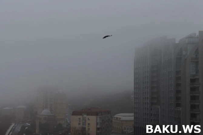 Баку окутал густой туман (фото)
