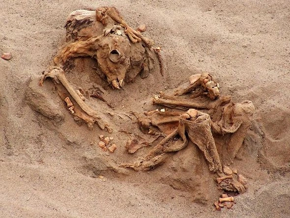 DƏHŞƏT! Uşaqların diri-diri ürəyini çıxardılar – FOTO DƏHŞƏT! Uşaqların diri-diri ürəyini çıxardılar – FOTO