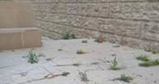 В Баку треснуло высотное здание: десятки домов находятся в зоне риска (фото)