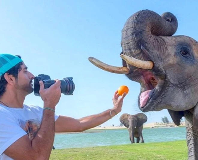 Dubay şeyxinin dəbdəbəli həyatı  - FOTOLAR