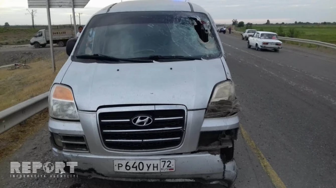 В Азербайджане автомобиль сбил лошадь: водитель и наездник получили травмы - ФОТО