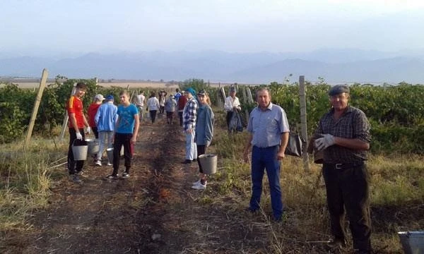 Azərbaycanın yeganə “kolxoz”u və 
