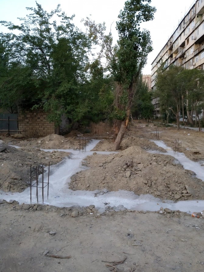 Bakıda yaşıllıq məhv edilir, yerində obyekt tikilir – Nazirlik araşdırmalara başladı (FOTOFAKT)