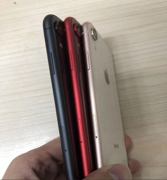 В Сети появились новые снимки iPhone Xc - ФОТО