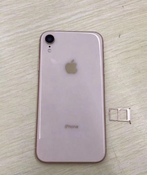 В Сети появились новые снимки iPhone Xc - ФОТО