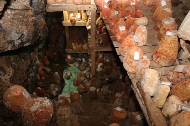 Dünyada bu pendirdən cəmi 45 ton istehsal olunur – VİDEO