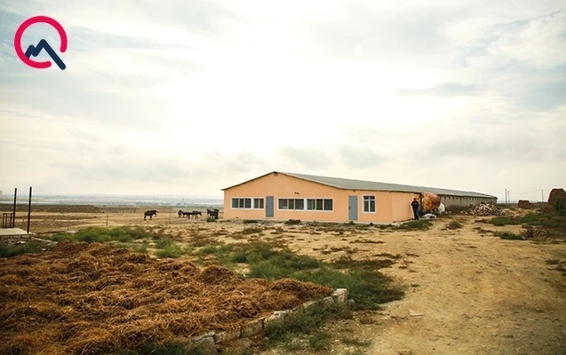 “Eşşəklərimiz Bethovenə, Baxa qulaq asırlar” - VİDEO, FOTO