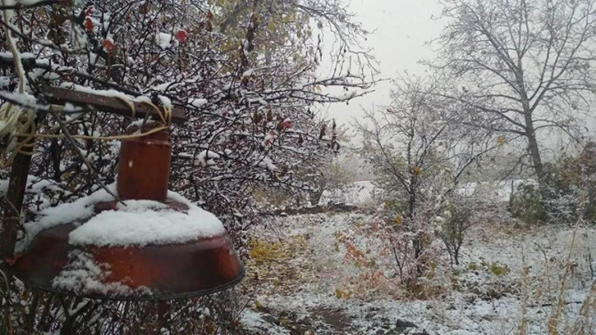 Naxçıvana qar yağır – FOTO