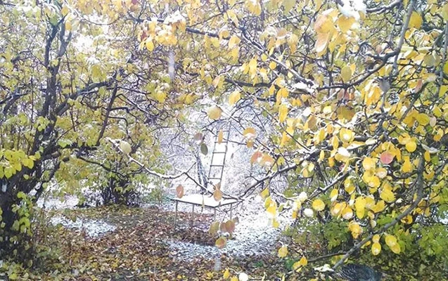 Naxçıvana qar yağır – FOTO