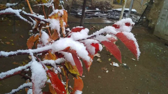 Naxçıvana qar yağır – FOTO
