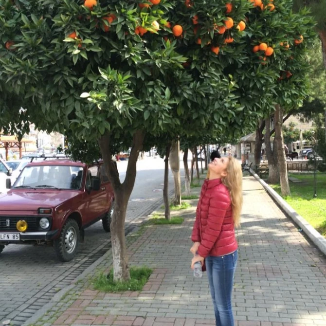 Bakıda vəzifəli şəxsin ölümü ilə bağlı ŞOK FAKTLAR ÜZƏ ÇIXDI: 16 yaşlı sürücü və... - FOTO