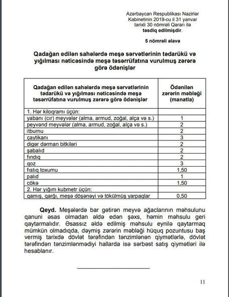 Azərbaycanda meşələrdən meyvə yığanlar 1 manat CƏRİMƏLƏNƏCƏK