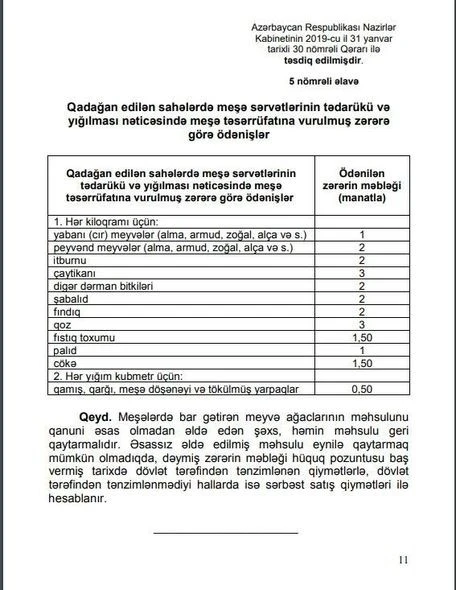 В лесах запретили собирать фрукты, орехи, ягоды и листья - ШТРАФ 1 манат