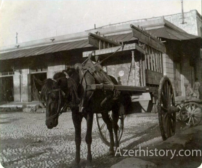 Баку и бакинцы 1900 года глазами французского путешественника - ФОТО