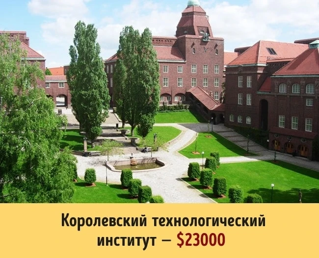Сколько стоит образование в разных университетах мира