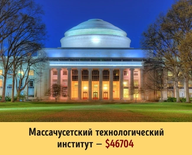 Сколько стоит образование в разных университетах мира