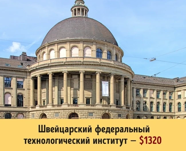 Сколько стоит образование в разных университетах мира