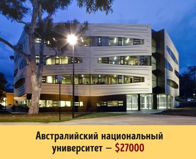 Сколько стоит образование в разных университетах мира