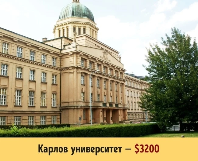 Сколько стоит образование в разных университетах мира