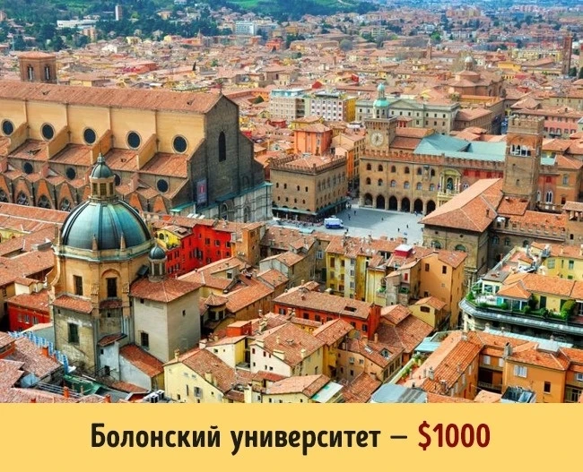 Сколько стоит образование в разных университетах мира