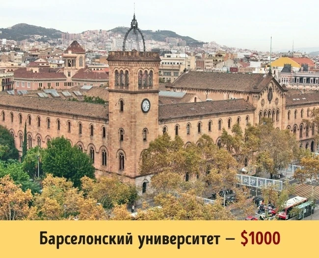 Сколько стоит образование в разных университетах мира